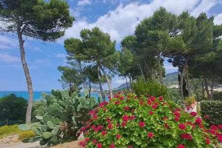 Cavallino Sea House Cefalù Dış mekan fotoğraf